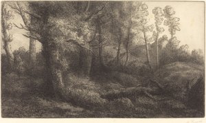 في غابة Lisiere de foret. بواسطة ألفونس ليجروس