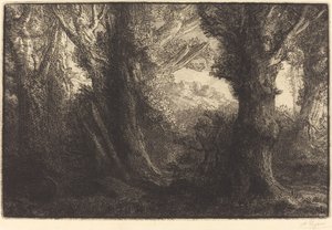 في غابة Conteville Dans la foret de Conteville. بواسطة ألفونس ليجروس