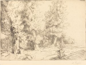 في غابة Fontainebleau Dans la foret de Fontainebleau. بواسطة ألفونس ليجروس