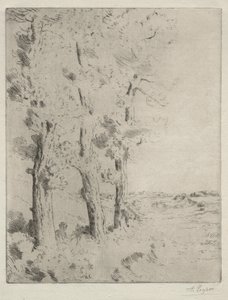 القارئ: المحاضرة تحت الأشجار ج. 1882. بواسطة ألفونس ليجروس