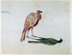 طائر". لوحة مائية. أورور أمادان لوسي دوبان (1804-1876) روائية وناشطة نسوية فرنسية كتبت تحت اسم جورج ساند.
