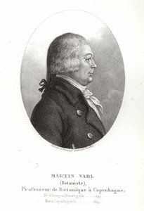 مارتن فال بواسطة أمبرواز تارديو