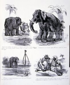 illustration for The Art of fattening and losing weight بواسطة أميدي دي نوي (شام)
