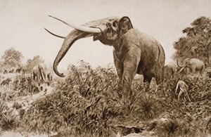 The Chatham Elephant ، رسم توضيحي من "مخطط التاريخ" بقلم HG Wells ، المجلد الأول ، نشر في 1920 (ليثو)