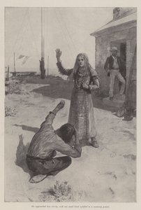 حورية البحر منارة المنارة ، بقلم بريت هارت