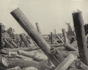A Log Jam في نهر St Croix ، ويسكونسن (b / w photo) بواسطة المصور الأمريكي (بعد)