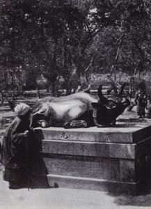 امرأة متدينة تضرب ثورًا من البرونز (صورة b / w) بواسطة المصور الأمريكي (بعد)