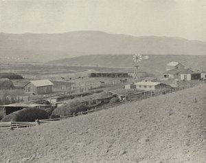 مزرعة الخيول مونتانا (صورة b / w) بواسطة المصور الأمريكي (بعد)