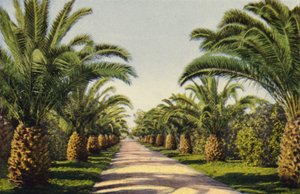  بواسطة مصور أمريكي
