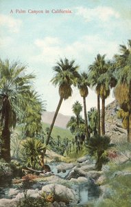  بواسطة مصور أمريكي