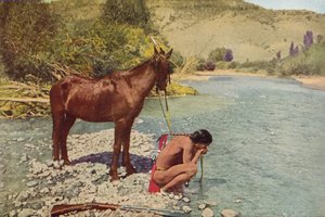 أباتشي المحارب ، ريو نافاهو ، أريزونا (صورة ملونة)