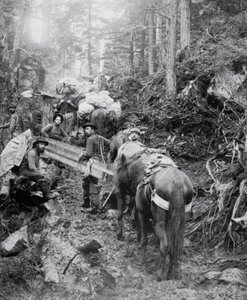 Climbing the Dyea Trail on the way to the Chilkoot Pass during the Klondike Gold Rush (1897-98) (b/w photo) بواسطة مصور أمريكي