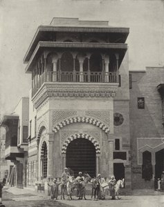 حمار بنين في شارع القاهرة بواسطة مصور أمريكي