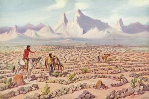 متاهة صوفية للهنود Mojave ، بالقرب من Needles ، كاليفورنيا (صورة ملونة) بواسطة مصور أمريكي