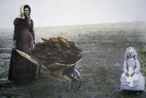 Pioneer woman collecting cattle dung, Kansas, c.1880 (coloured photo) بواسطة مصور أمريكي
