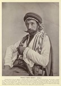 الأمير مير همسي ، عربي