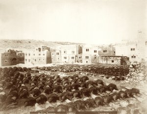 مدبغة في الخليل مع وجود جلود في المقدمة ، 1898-1911 بواسطة مصور أمريكي