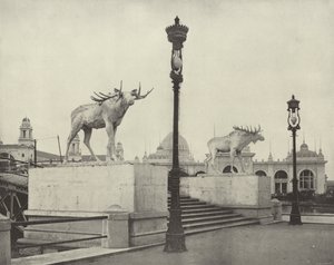 جسر موس بواسطة مصور أمريكي