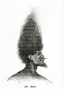 Api Man ، رسم توضيحي من Appletons Journal ، 4 مايو 1872 بواسطة المدرسة الأمريكية