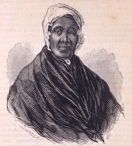 كاثرين فيرجسون بواسطة المدرسة الأمريكية