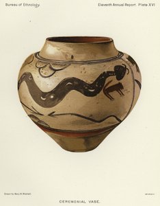 Ceremonial vase (colour litho) بواسطة المدرسة الأمريكية
