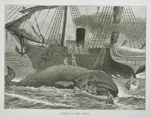 Cutting up the Whale, from The American Whale Fishery, c.1850 (engraving) بواسطة المدرسة الأمريكية
