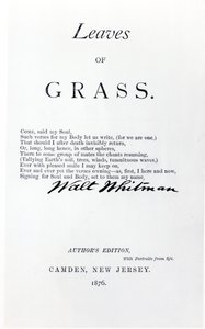 صورة لأوراق العشب من والت ويتمان (1819-1892) ، حانة. عام 1876 بواسطة المدرسة الأمريكية