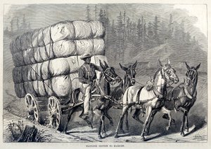 نقل القطن إلى السوق ، من مائة عام من التقدم في الولايات المتحدة ، حانة. 1871 إنجرافين بواسطة المدرسة الأمريكية