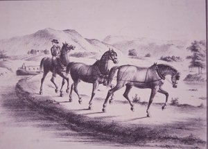 Horses pulling a canal boat on Erie Canal (engraving) بواسطة المدرسة الأمريكية