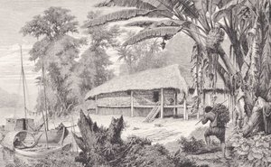منزل جامع أغنياء من المطاط الهندي ، من "نهر الأمازون وماديرا" ، بقلم فرانز كيلر ، 1874 بواسطة المدرسة الأمريكية