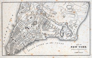 Map of New York (litho) بواسطة المدرسة الأمريكية