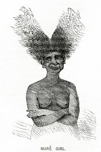 ماري جير ، صورة توضيحية من Appletons Journal ، 4 مايو 1872 بواسطة المدرسة الأمريكية