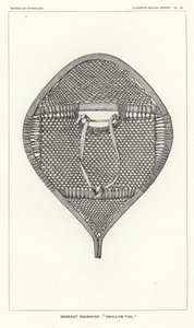 nenenot Snowshoe - الذيل السنونو بواسطة المدرسة الأمريكية