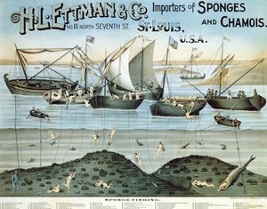 إعلان ملصق HL Ettman & Co. ، مستوردي الإسفنج والشاموا ، 1897
