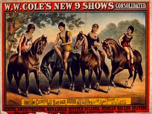 إعلان ملصق الملصقات WW Coles New 9 الموحد