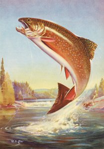 رياضة الصيد: Leaping Brook Trout بواسطة المدرسة الأمريكية