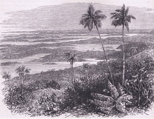 منظر لجزر برمودا ، رسم توضيحي من حانة Cassell's History of the United States. بواسطة Petter & Galpin c.1890 (litho) بواسطة المدرسة الأمريكية
