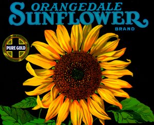 Vintage Sunflower Fruit Crate Label بواسطة المدرسة الأمريكية