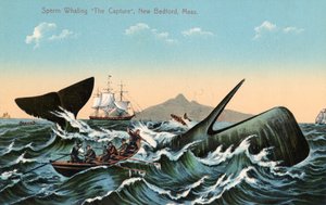 Whalers Harpooning a Sperm Whale Off New Bedford, Massachusetts بواسطة المدرسة الأمريكية