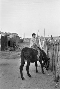  بواسطة 