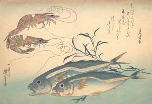 Aji Fish و Kuruma-ebi ، من سلسلة Uozukushi Every Variety of Fish ، 1830. ، 1830. بواسطة أندو هيروشيغه