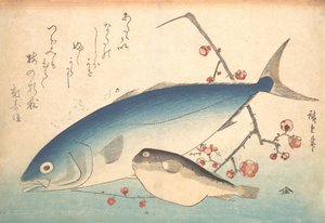 Fugu و Inada Fish ، من سلسلة Uozukushi Every Variety of Fish ، أربعينيات القرن التاسع عشر ، أربعينيات القرن التاسع عشر. بواسطة أندو هيروشيغه