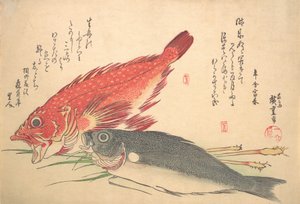 Isaki and Kasago Fish ، من سلسلة Uozukushi Every Variety of Fish ، 1830. ، 1830. بواسطة أندو هيروشيغه
