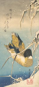 بط مالارد والقصب المغطاة بالثلوج ، كاليفورنيا. 1832. ، كاليفورنيا. 1832. بواسطة أندو هيروشيغه
