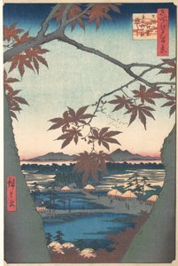 Maples at Mama ، من سلسلة مائة منظر مشهور لإيدو ، كاليفورنيا. 1857. ، كاليفورنيا. 1857. بواسطة أندو هيروشيغه