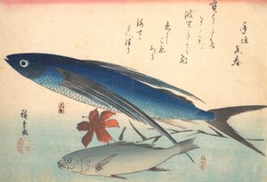 Tobiuo و Ishimochi Fish ، من سلسلة Uozukushi Every Variety of Fish ، أربعينيات القرن التاسع عشر ، أربعينيات القرن التاسع عشر. بواسطة أندو هيروشيغه