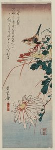 Warbler و Chrysanthemums ، منتصف 1830s. بواسطة أندو هيروشيغه