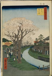 احتفال Cent بالاحتفال بـ "Edo: Cherry Blossoms on the Banks of the Tama River بواسطة أندو أو أوتاغاوا هيروشيغي