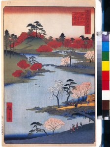 Le jardin du Temple Hachiman a Fukagawa (cent vues celebres de Edo) - Oeuvre de Utagawa Hiroshige (1797-1858) ، estampe japonaise ، الإصدار 1858 - (Open Garden at the Hachiman Shrine in Fukagawa (مائة منظر مشهور لإيدو) ، ملون نقش خشبي بواسطة Hiroshige ، كا بواسطة أندو أو أوتاغاوا هيروشيغي