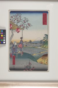 Teahouse With View Of Mt. Fuji In Z؟ shigaya (Z؟ shigaya Fujimi Chaya) (طباعة خشبية ملونة) بواسطة أندو أو أوتاغاوا هيروشيغي